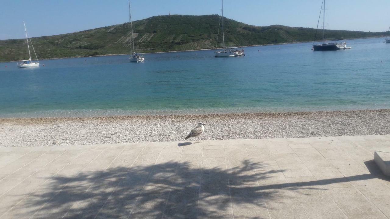 Apartment Tea Primošten Εξωτερικό φωτογραφία